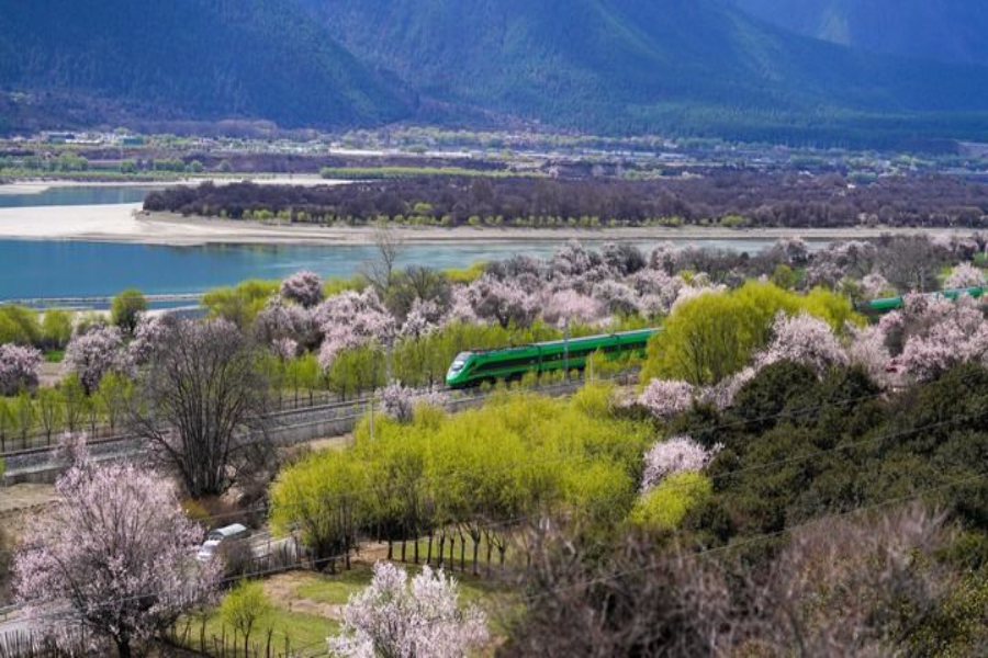 e638-6cffe88863d6cf6056c9f9ef880372c5.png e638-6cffe88863d6cf6056c9f9ef880372c5.png