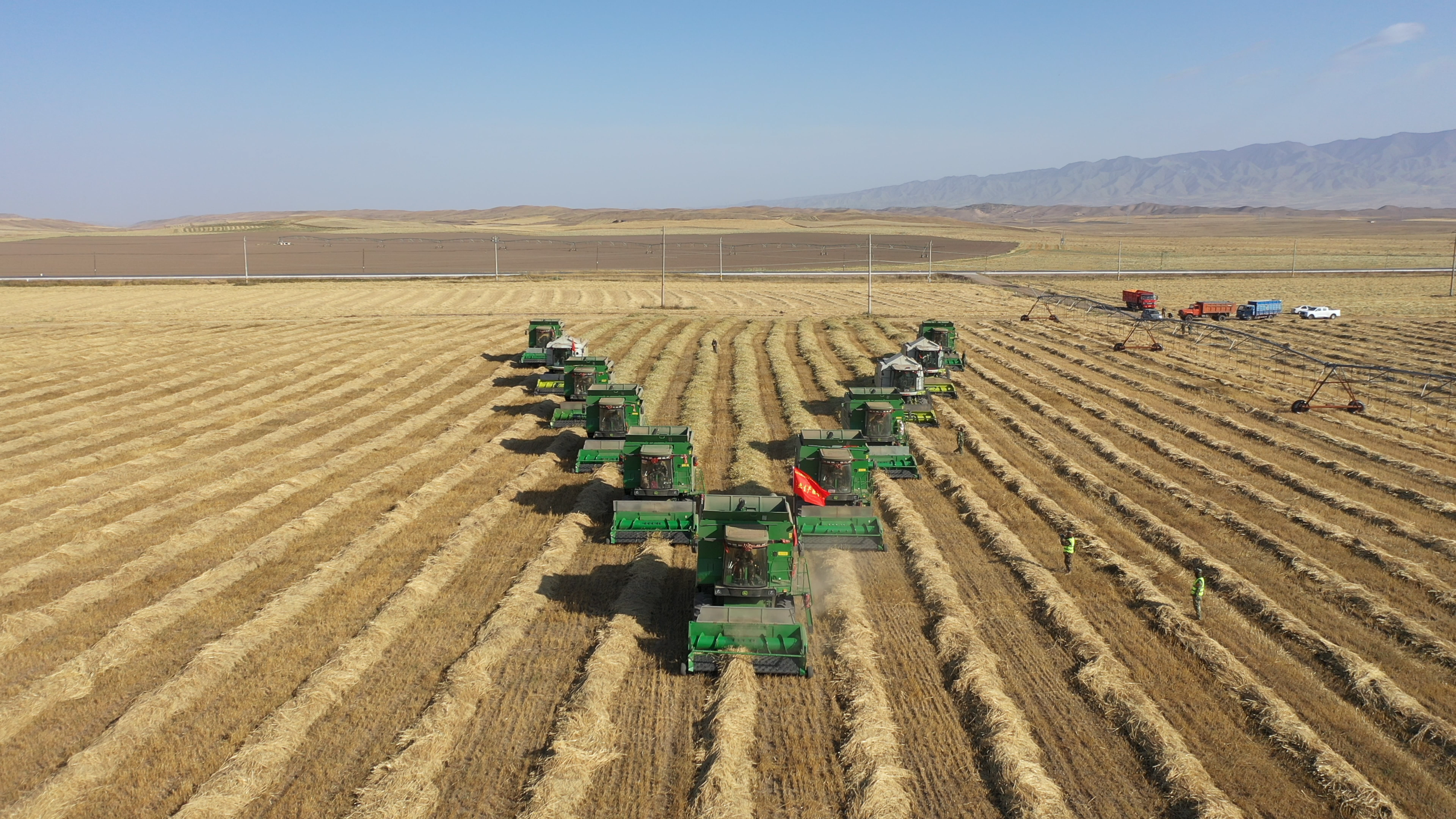 595068fd6efedafa12e891985c3669c8.png 595068fd6efedafa12e891985c3669c8.png